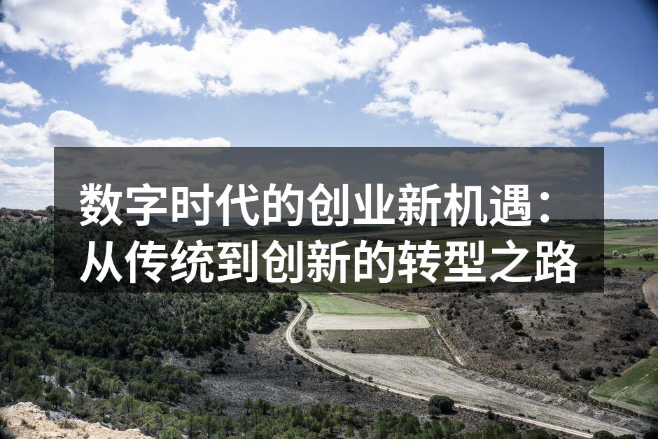 数字时代的创业新机遇：从传统到创新的转型之路