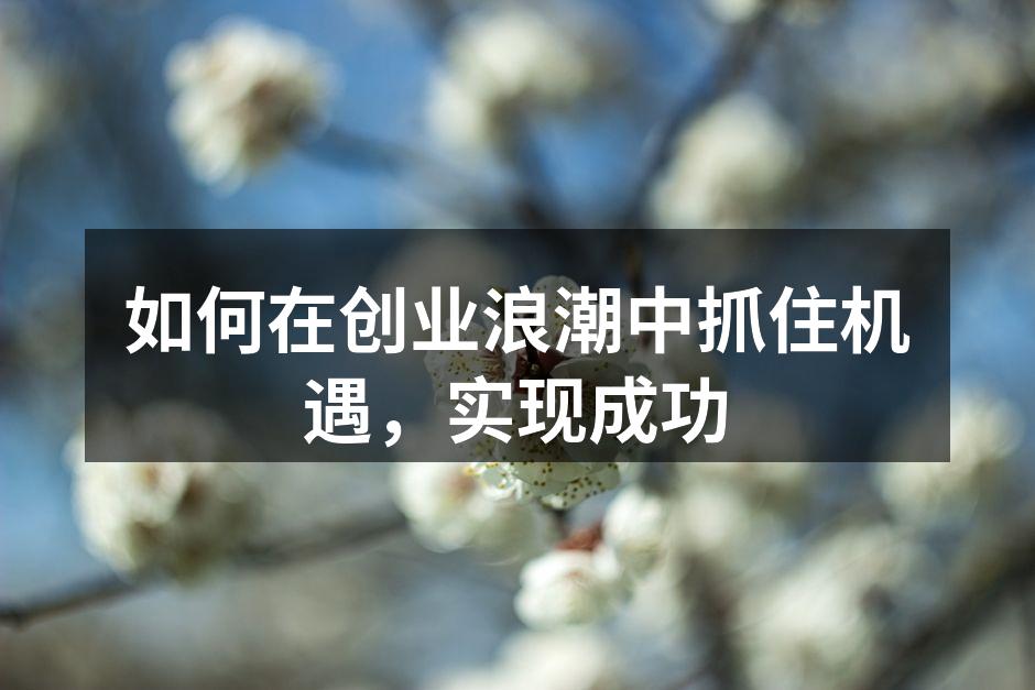如何在创业浪潮中抓住机遇，实现成功